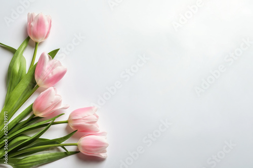 Fototapeta Naklejka Na Ścianę i Meble -  Beautiful tulips for Mother's Day on light background, top view