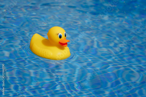 yellow rubber duck in blue swimming pool