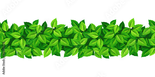 Vector horizontal seamless background with green leaves.