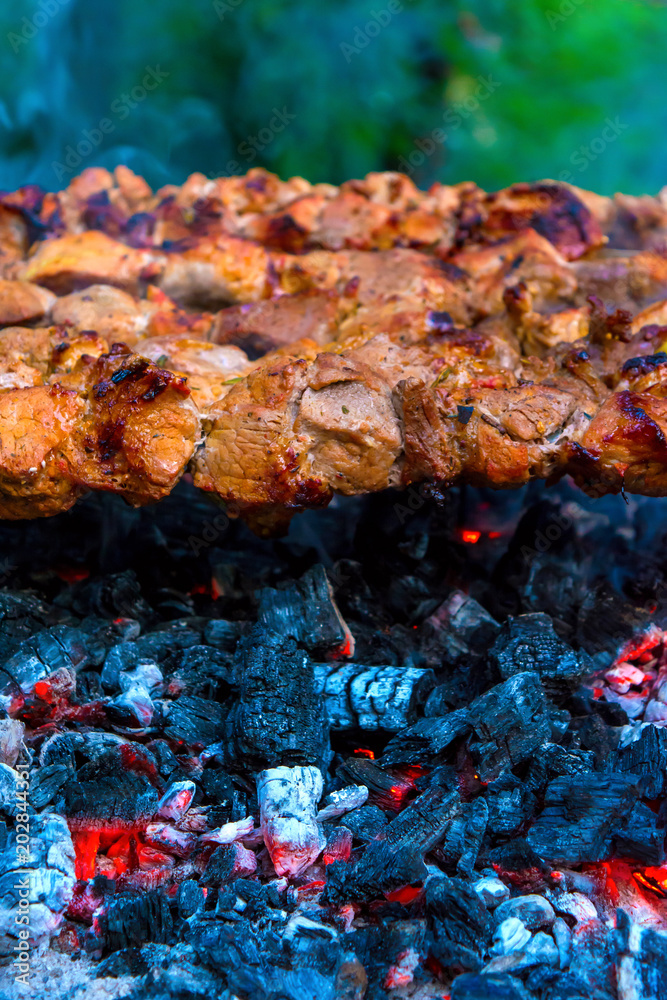 Photo of delicious pork barbecue fried on charcoal in the park Photo of delicious pork barbecue fried on charcoal in the park