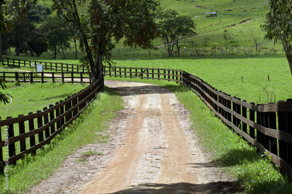 Dirt road flanked by wood fence on countryside of Brazil