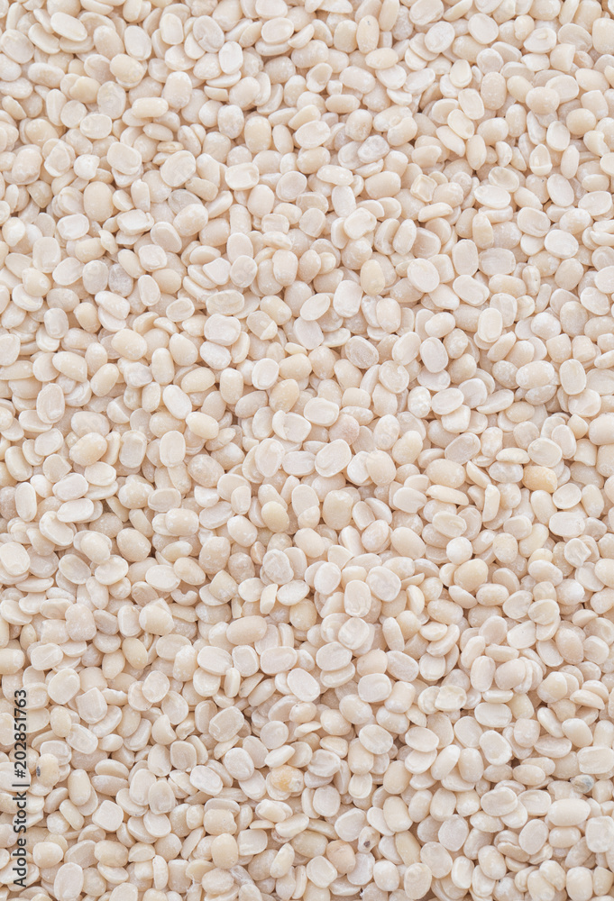Urad Dal or Black Gram Split Pulse Unpolished Without Cover Also Know as Vigna Mungo, Black Gram, Urad Bean, Minapa Pappu, Mungo Bean, Black Matpe Bean or Split Black Gram Seeds. Urad Dal or Black Gram Split Pulse Unpolished Without Cover Also Know as Vigna Mungo, Black Gram, Urad Bean, Minapa Pappu, Mungo Bean, Black Matpe Bean or Split Black Gram Seeds.
