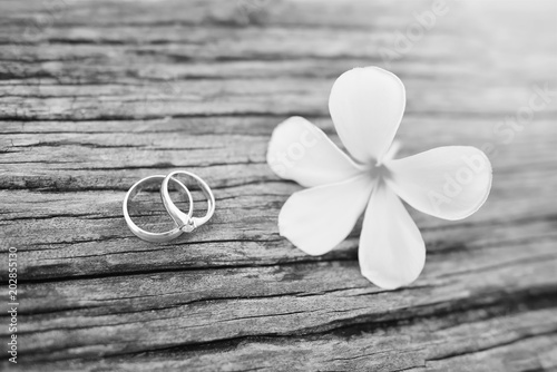 Black and White Wedding rings on wooden background