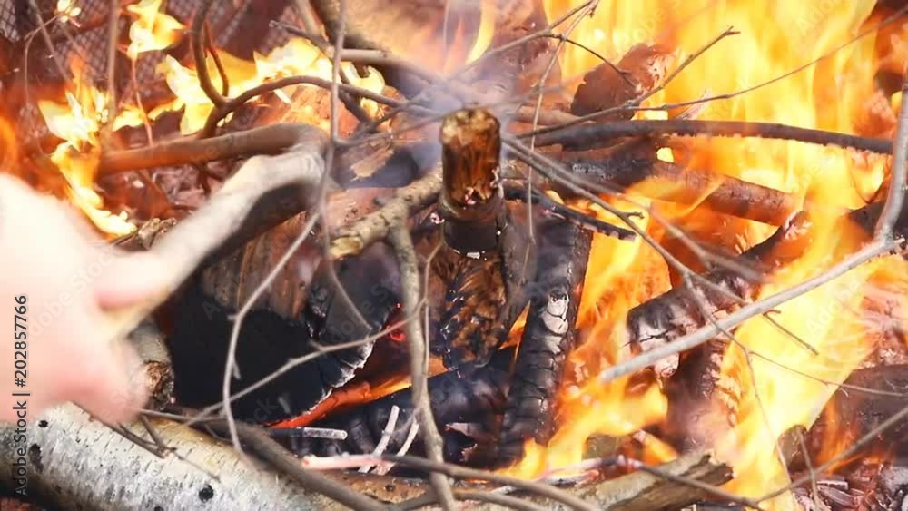 Burn fire Hot coals and flames emitting from a hot burning with wood and legs Burn fire Hot coals and flames emitting from a hot burning with wood and legs