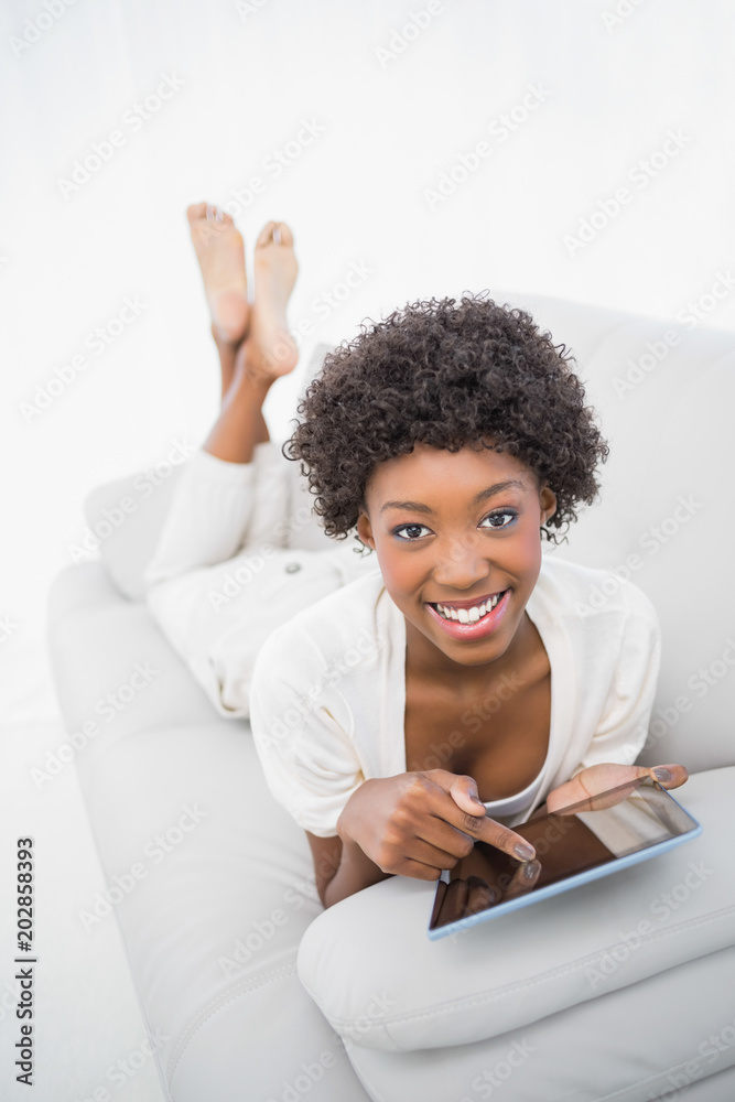 Smiling gorgeous brunette using digital computer Smiling gorgeous brunette using digital computer