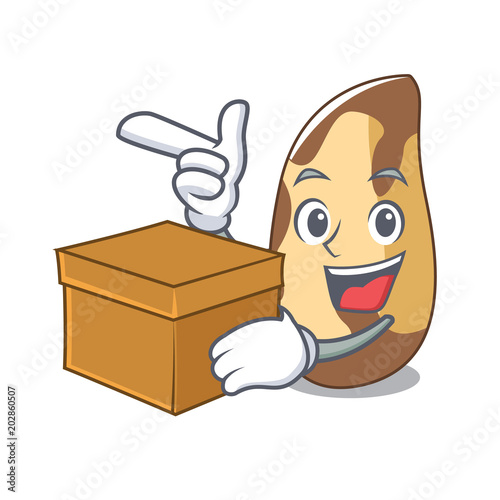 With box brazil nut character cartoon