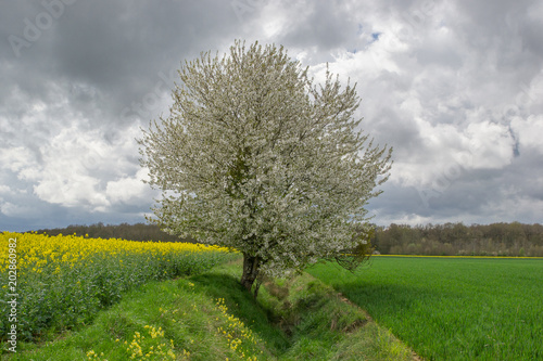 campagne photo