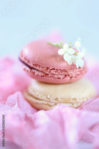  Macaron cake set. Macarons in a pink crumpled paper on a light blue wooden background. delicious dessert