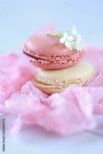  Macaron cake . Macarons in pastel colors in a pink crumpled paper on a light blue wooden background. delicious dessert