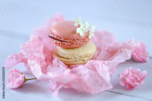  Macaron cake set. Macarons in pastel colors in a pink crumpled paper on a blue wooden background. delicious dessert