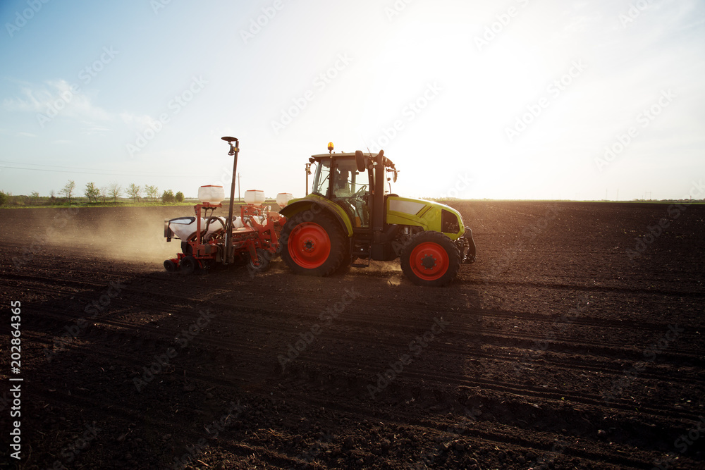 Fototapeta premium Farmer seeding crops at field