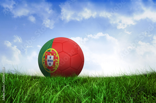 Football in portugal colours on field of grass under blue sky
