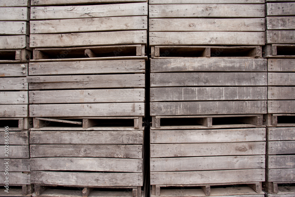 Blossoms of fruit trees with stacked wooden bins Blossoms of fruit trees with stacked wooden bins