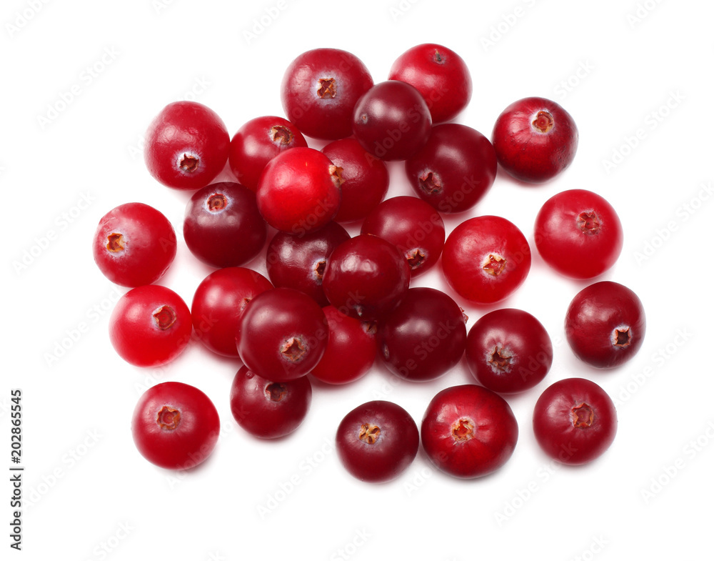 Cranberry isolated on white. With clipping path. Full depth of field. top view Cranberry isolated on white. With clipping path. Full depth of field. top view
