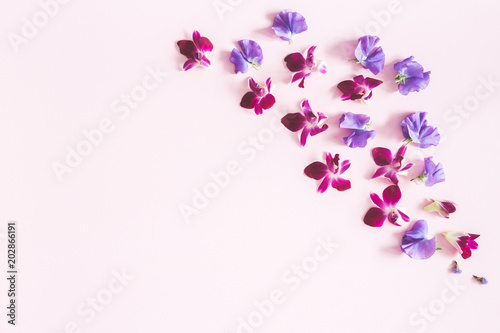 Flowers composition. Pattern made of colorful orhid flowers on pastel pink background. Flat lay  top view  copy space