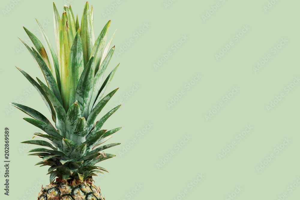 Fototapeta premium Pineapple with green background.
