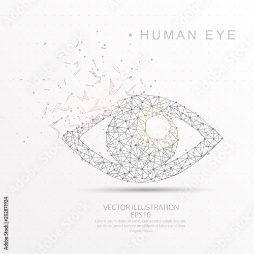 Eye shape digitally drawn low poly wire frame.