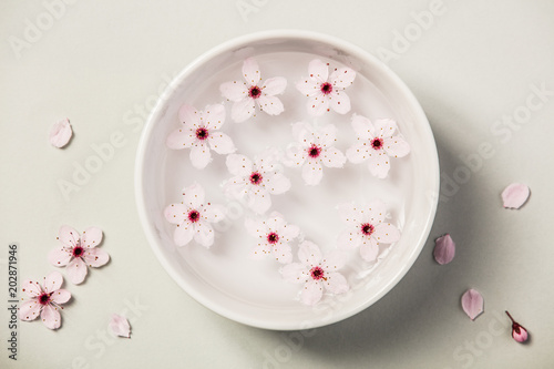 Zen bowl with water and flowers © Natalia Klenova