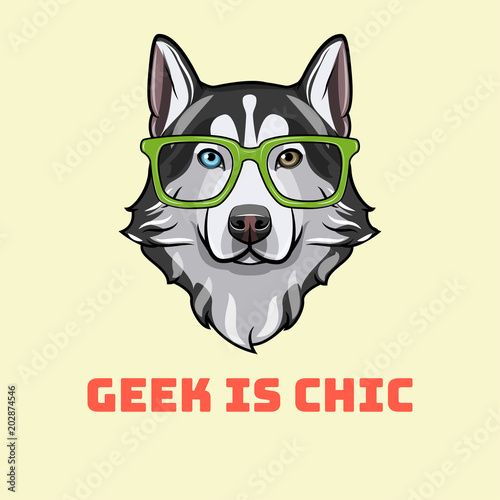 Siberian Husky nerd. Sart glasses. Dog geek. Husky portrait. Geek is chic. Vector.