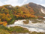 The Autumn Leaves season in Hokkaido ,Japan