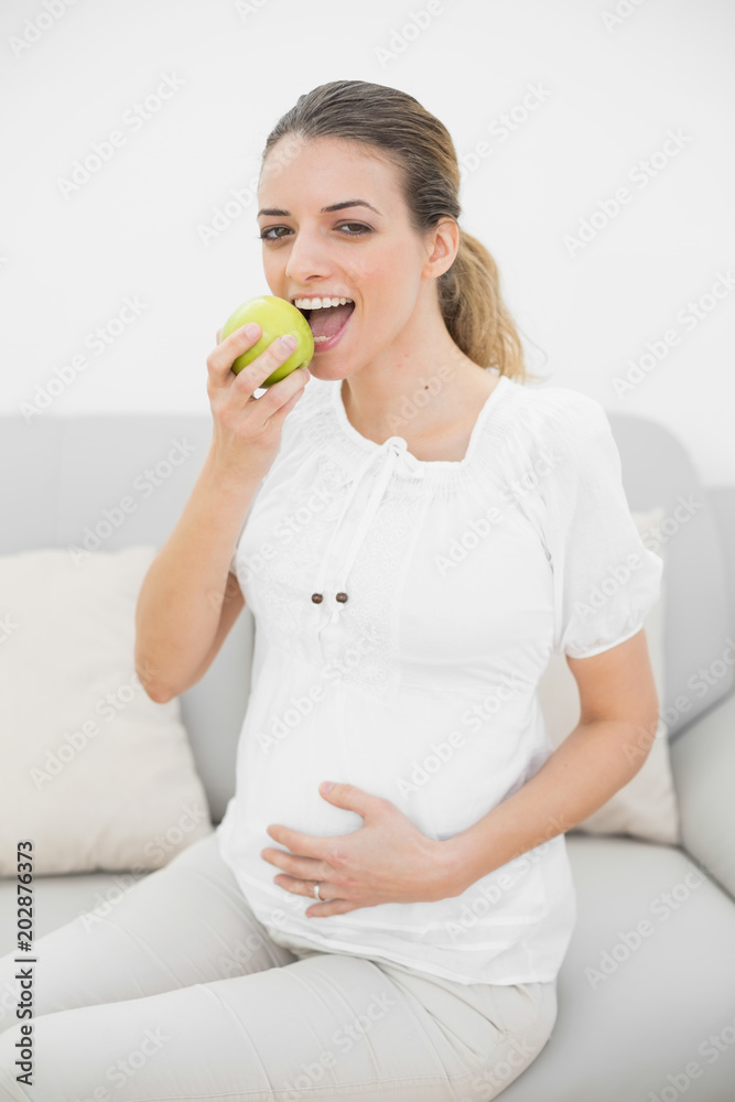 Content pregnant woman eating green apple sitting on couch Content pregnant woman eating green apple sitting on couch