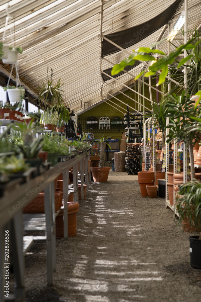 Sunlit view of retail nursery green house with potted plants, terracotta pots and garden supplies