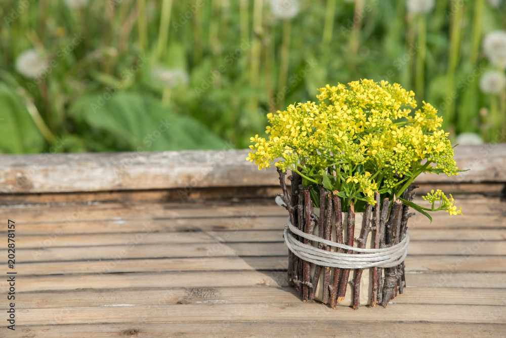 A bouquet of beautiful little yellow blossoming flowers called rape and dandelions in summer A bouquet of beautiful little yellow blossoming flowers called rape and dandelions in summer