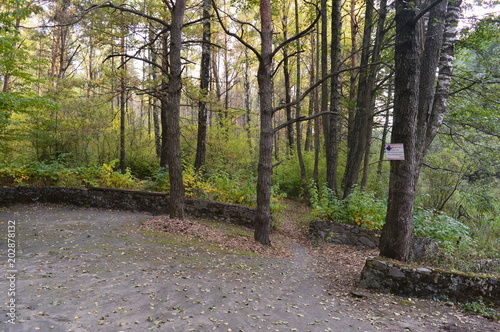 Fototapeta Naklejka Na Ścianę i Meble -  Park