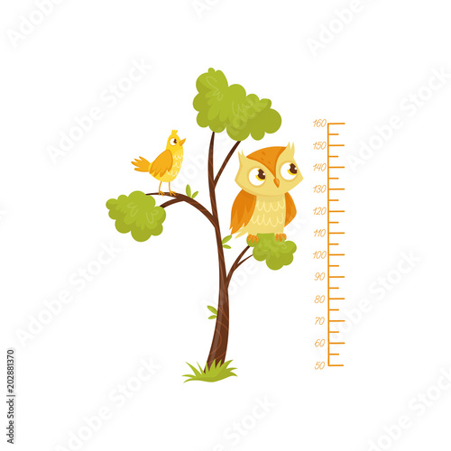 Kids height chart and birds sitting on branches of tree. Scale of growth. Decorative wall sticker for children room. Flat vector design