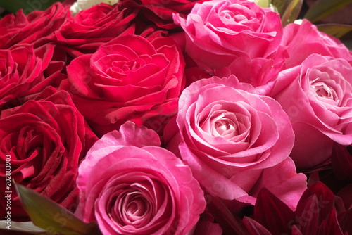                                                              - Red and pink roses in flower arrangement