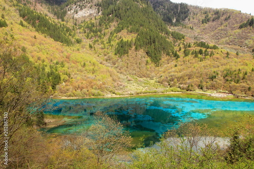 Five flower lake in Jiuzhaigou National Park China