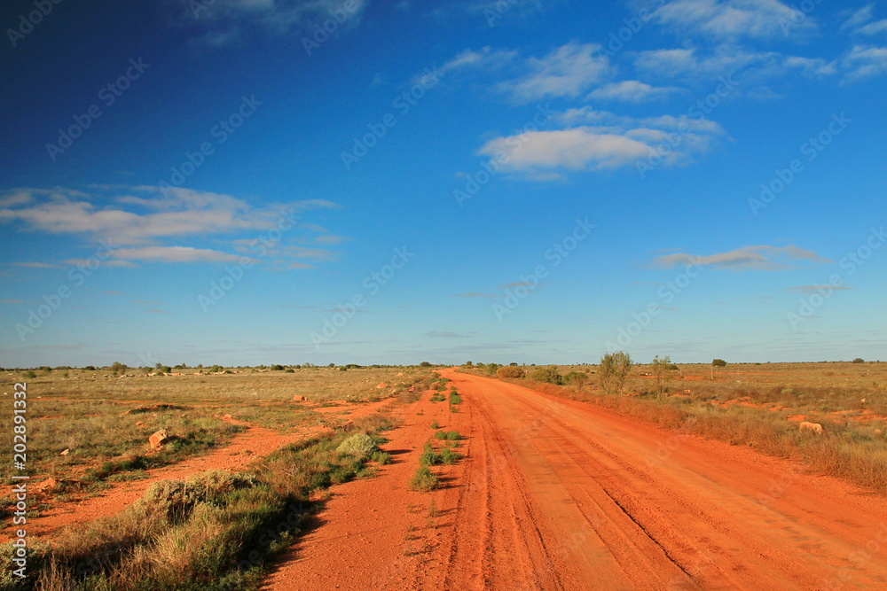 Australian desert track