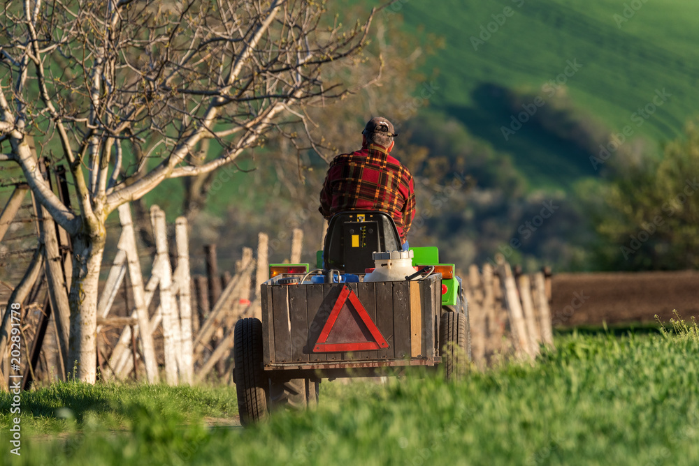 A Farmer In A Red Checkered Shirt Rides Along The Road Amidst A Green Field On A Small Tractor Loaded With Tools And Various Utensils. A Man Is Riding A Tractor With Emergency Stop Warning Triangle