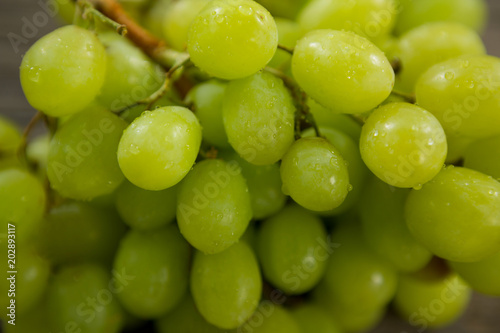 Green bunch of grapes with water droplets