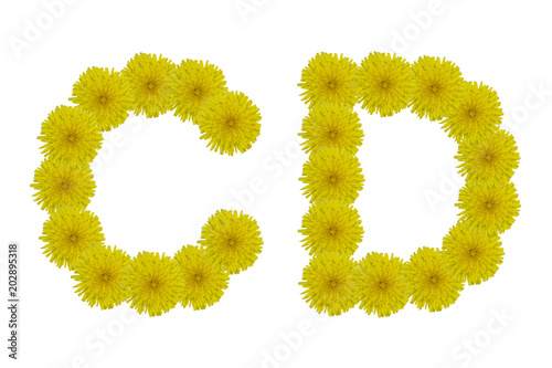 Floral letters C, D isolated on white background