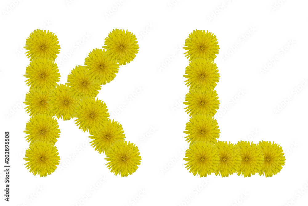 Floral letters K, L isolated on white background