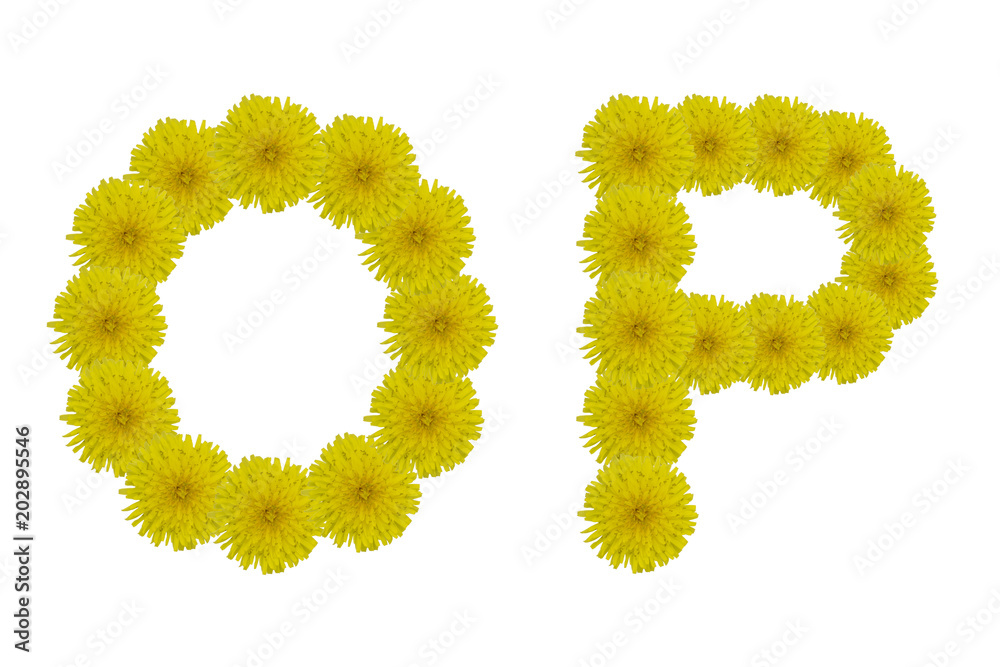 Floral letters O, P isolated on white background