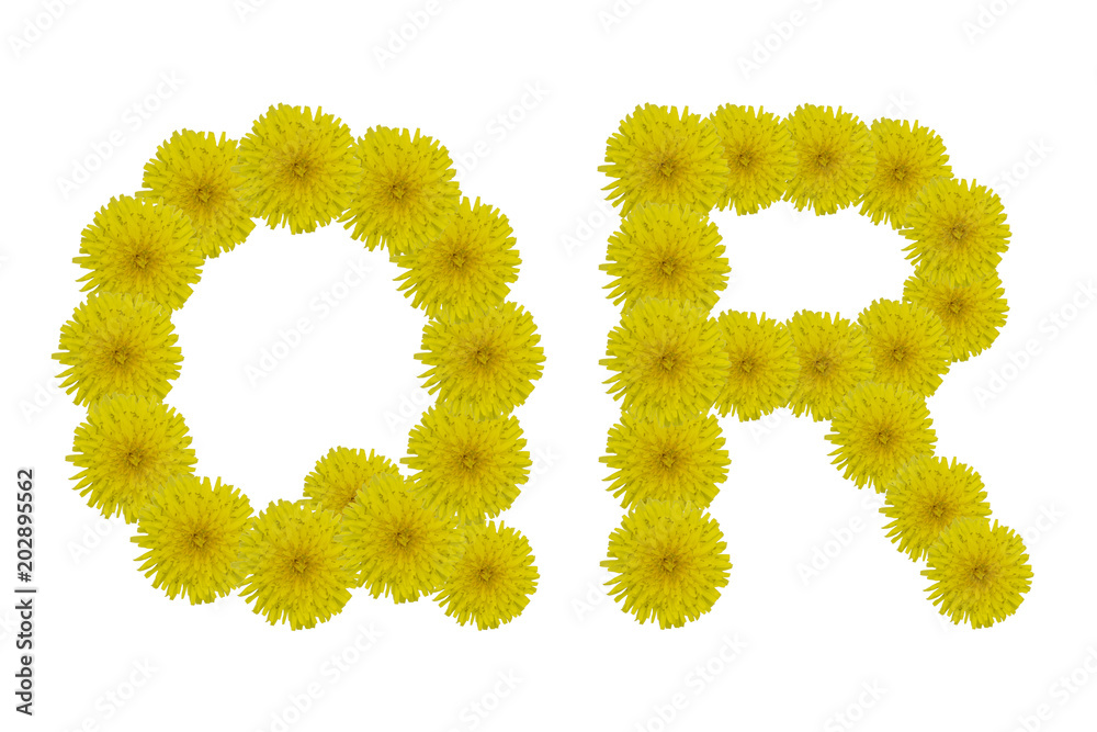 Floral letters Q, R isolated on white background