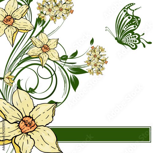 hand drawing  Narcissus flowers background.