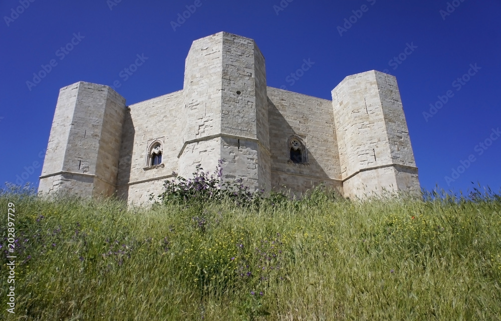Italy, Apulia, Castel del Monte, Unesco Italy, Apulia, Castel del Monte, Unesco
