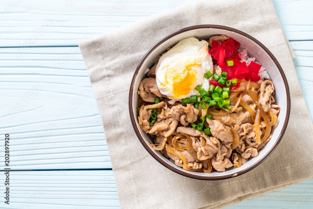 pork rice bowl with egg (Donburi) - japanese food