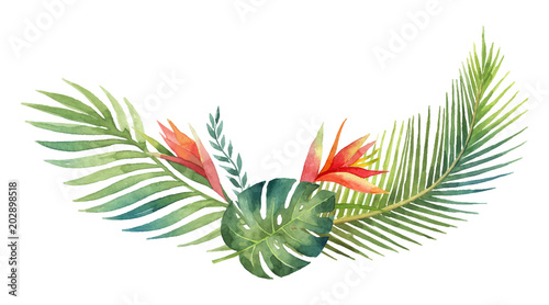 Watercolor vector wreath tropical leaves and branches isolated on white background.