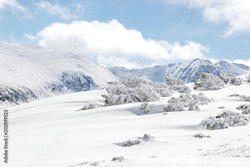 snow-covered mountains in Bulgaria © ame kamura