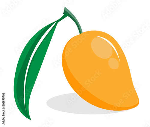 orange flat ripe mango on white background, vector draw