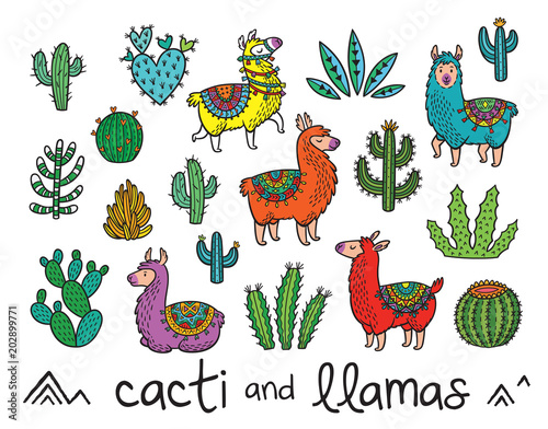 Collection of cactuses and llamas in cartoon style. Vector illustration