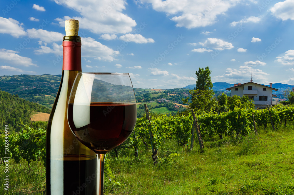 Φωτογραφία bottle and glass of red wine on the background of vineyard in Tuscany