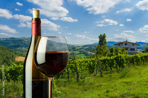 bottle and glass of red wine on the background of vineyard in Tuscany