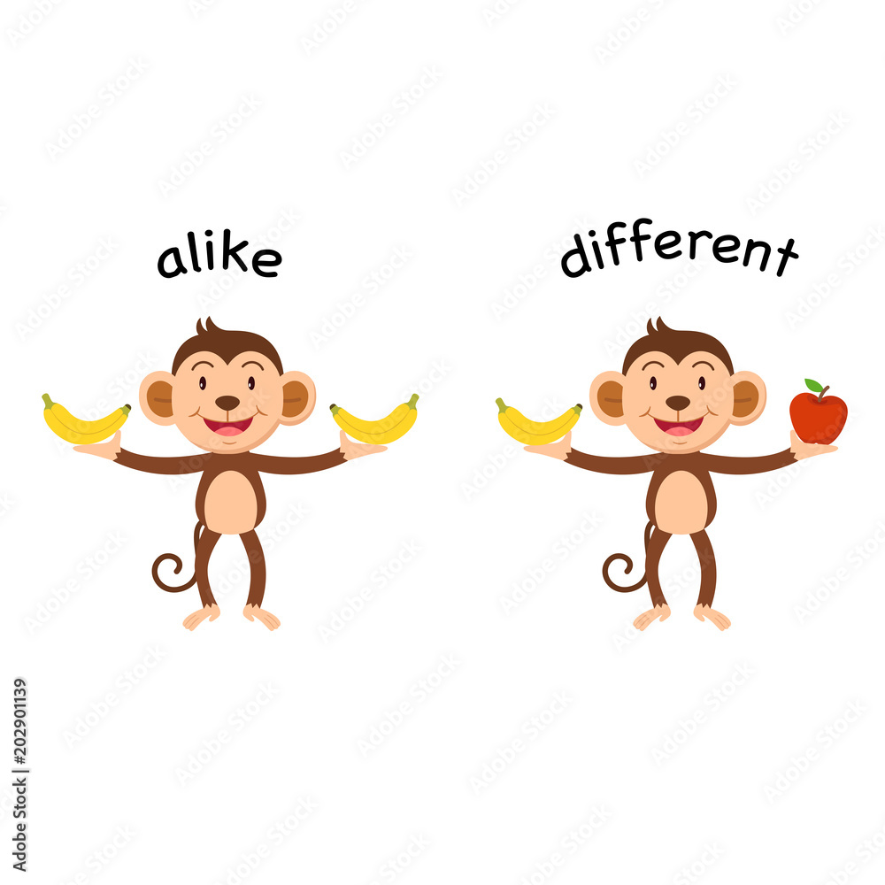 Opposite alike and different vector illustration Stock Vector | Adobe Stock