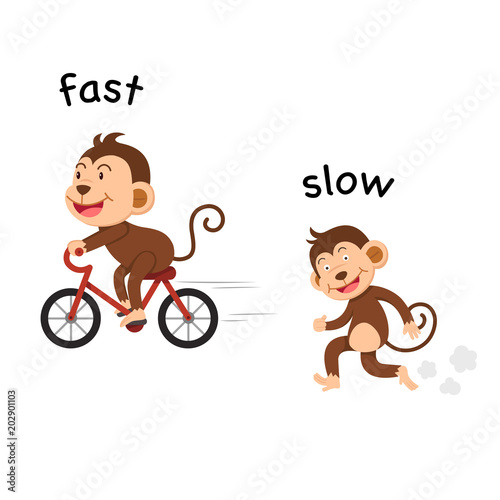 Opposite fast and slow vector illustration