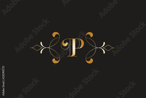 Elegant Letter Z  Golden Design.Creative Monogram Logo